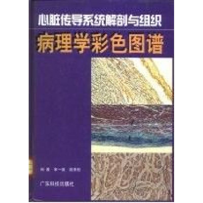 正版新书】心脏传导系统解剖与组织病理学彩色图谱宋一璇 姚青松9