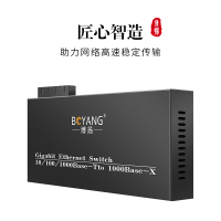 博扬 BY-DG208A/B 千兆二光八电单模单纤光纤收发器交换机 光电转换器 防雷SC接口 25公里外置电源