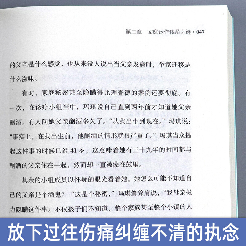 [醉染正版]原生家庭的进化 不让家庭之伤代代相传 美] 大卫·史都普 著心理学书籍心理百科心理学成长励志心灵心理自我实现高清大图