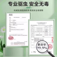 烟甲虫谷3886