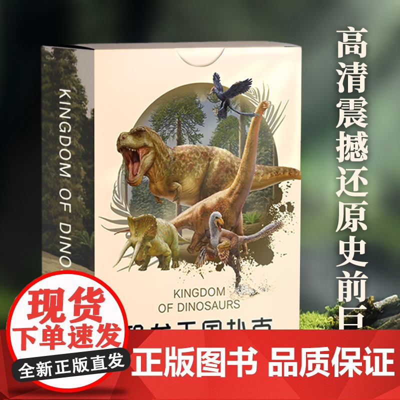 恐龙王国扑克牌儿童益智游戏卡专注力训练卡找不同2-6岁儿童思维训练益智早教卡图书幼儿三到六岁益智游戏书籍卡片3岁6启蒙识高清大图