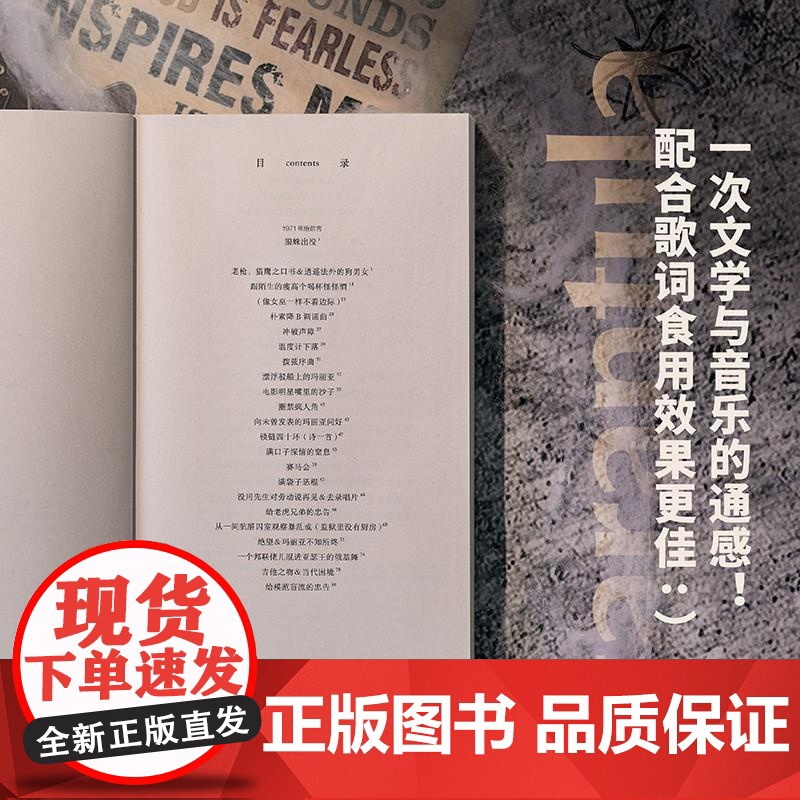 狼蛛 鲍勃迪伦中信出版集团高清大图