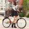 女款成人自行车上班代步男女大学生20 22 24寸
