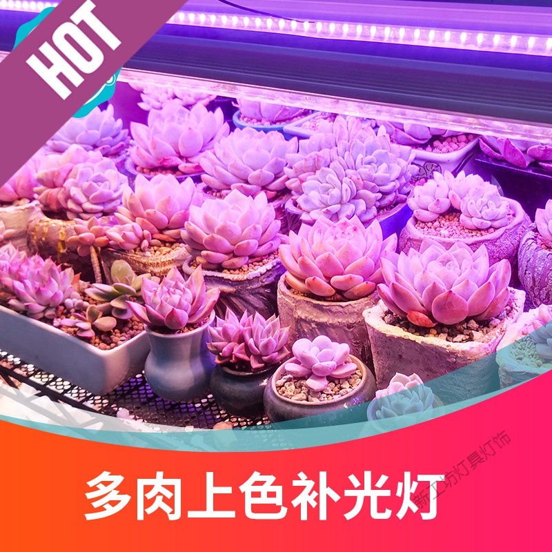 苏宁放心购 多肉补光灯家用上色全光谱led仿太阳日照花卉层架绿植物生长灯高清大图