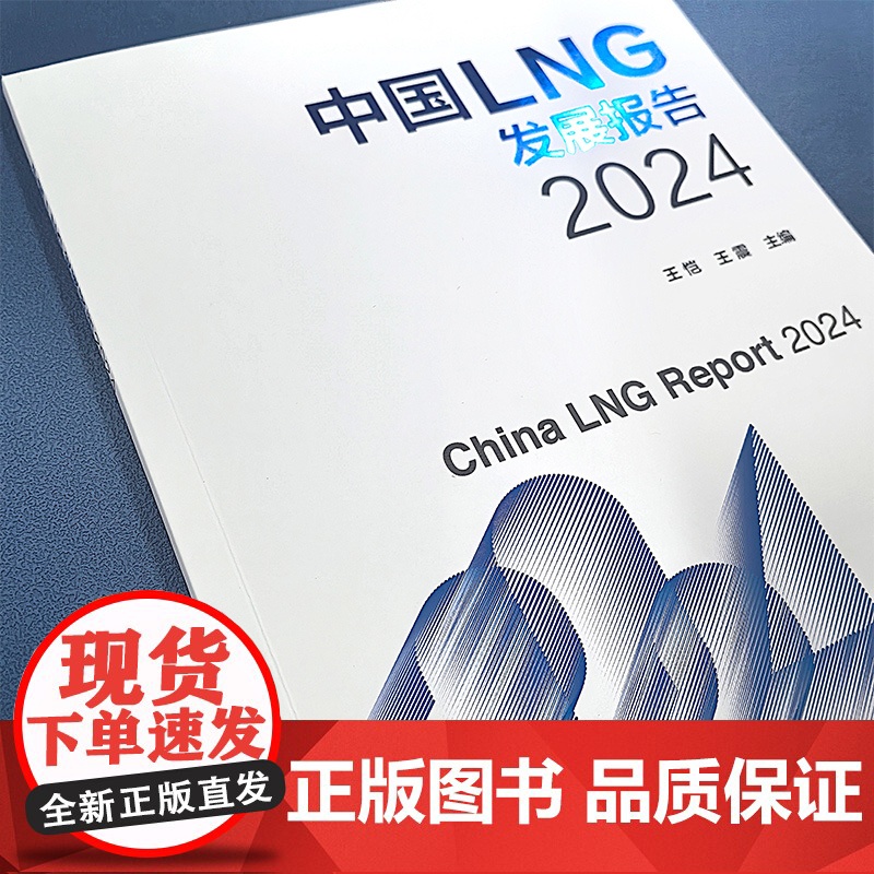 中国LNG发展报告2024 王恺 天然气 液化天然气 LNG消费 LNG贸易 LNG价格 系统分析阐述中国LNG行业发展高清大图