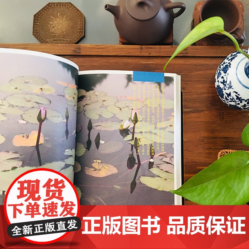 杭州,这座城 藏羚羊旅行指南编辑部 编 旅游 地图高清大图