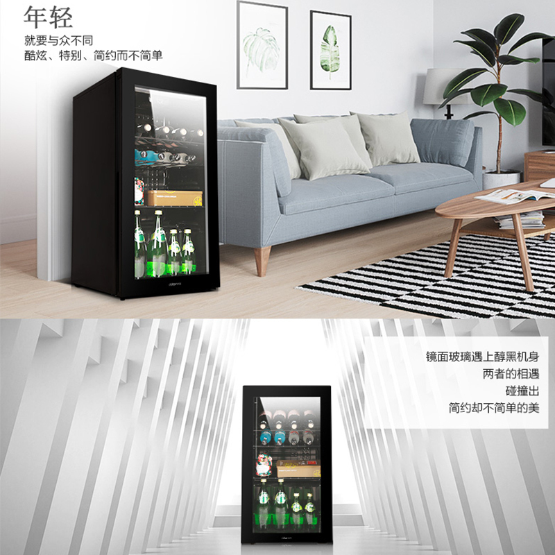 东宝（dobon）JC-92B 92升 时尚立式冰柜 家用办公商务小冰箱 冷藏展示柜 陈列柜 酒柜 饮料柜 茶叶柜