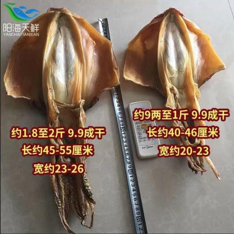 大墨鱼干货淡水野生送礼全淡干墨鱼干大号淡水墨鱼干煲汤海鲜干货