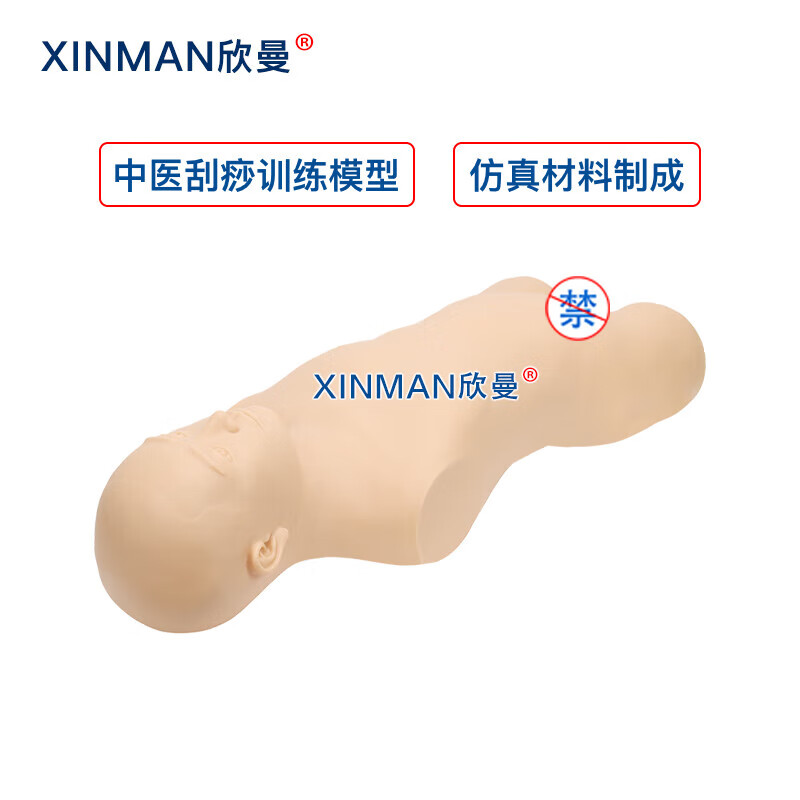 欣曼科教 中医刮痧训练模型 刮痧练习模拟人 中医教学用人体模型高清大图