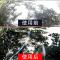 汽车玻璃清洁剂强力去污前档风车窗玻璃水家用窗户擦窗去油膜水印