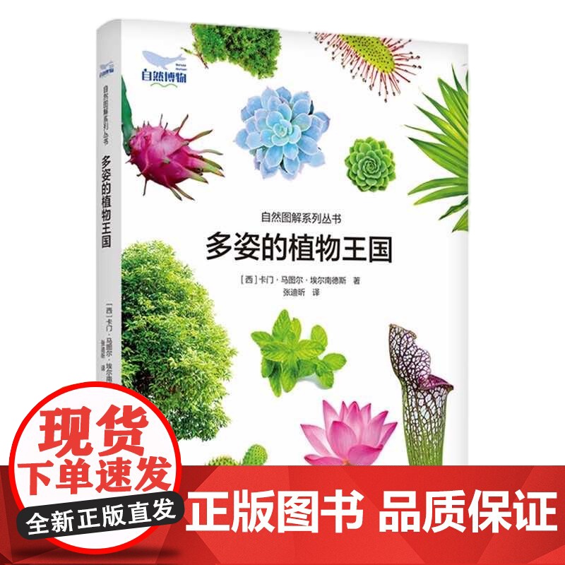 [央视网]多姿的植物王国 ZK高清大图