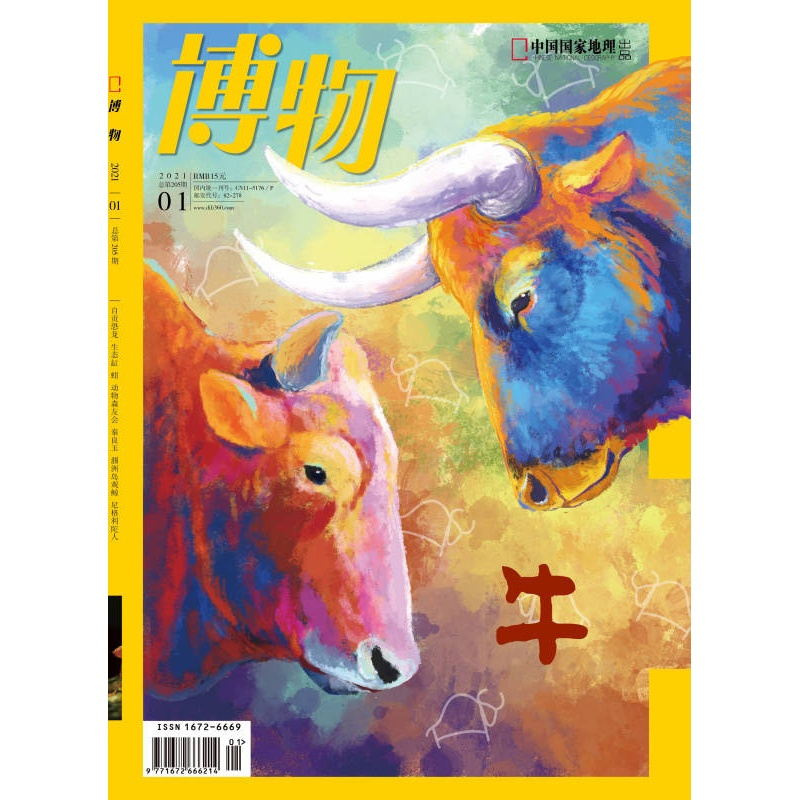 [正版]闪电博物杂志(2021年1月 )牛族动物 追踪云南野牛 盘点奇特家牛 斗鱼情仇 食人族后代