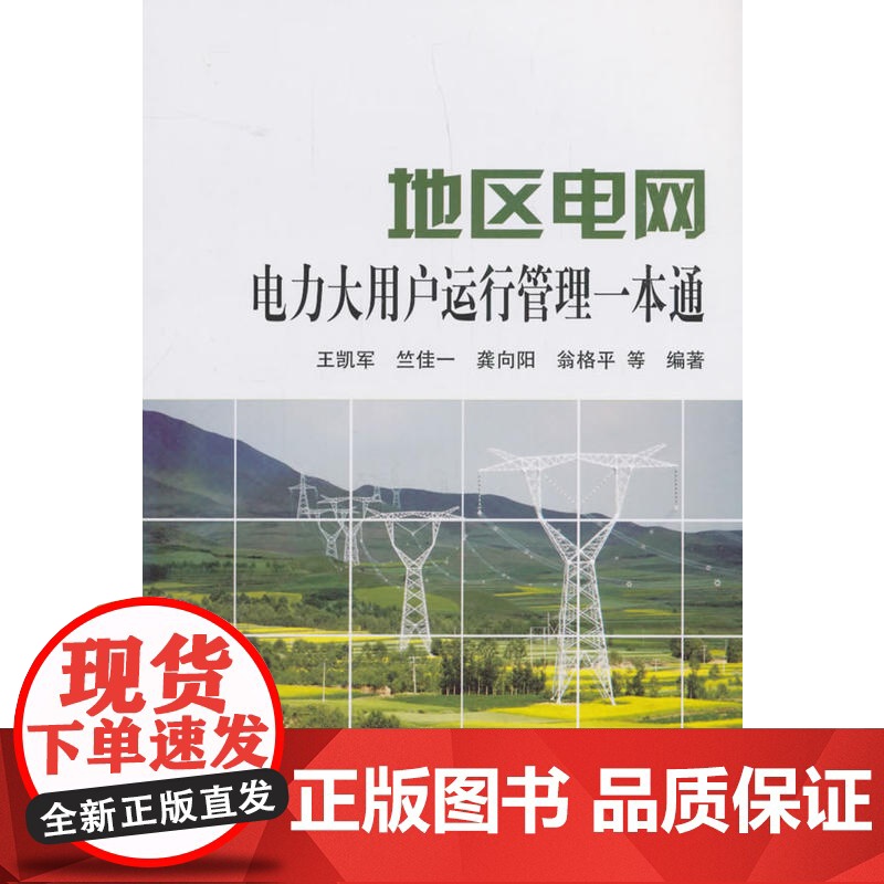 地区电网电力大用户运行管理一本通高清大图
