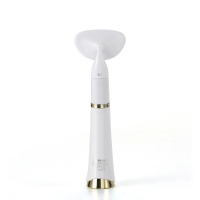 LIFETRONS 微振洁面美容仪 CM-100CC-WH1 微振洁面美容仪 ZC