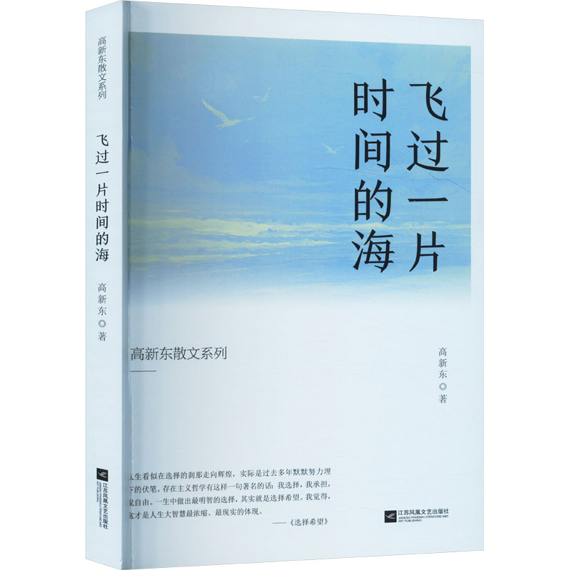正版新书]飞过一片时间的海高新东 著9787559482754高清大图