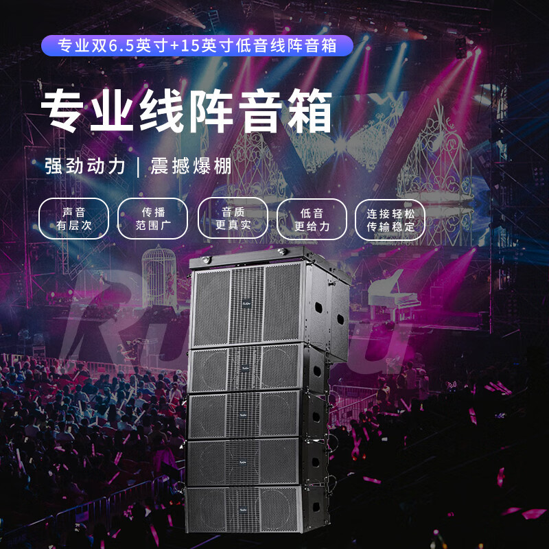 润普Runpu国产化专业双6.5英寸+15英寸低音线阵音箱报告厅大礼堂会议无缘音箱套装组合RP-XZS600-5