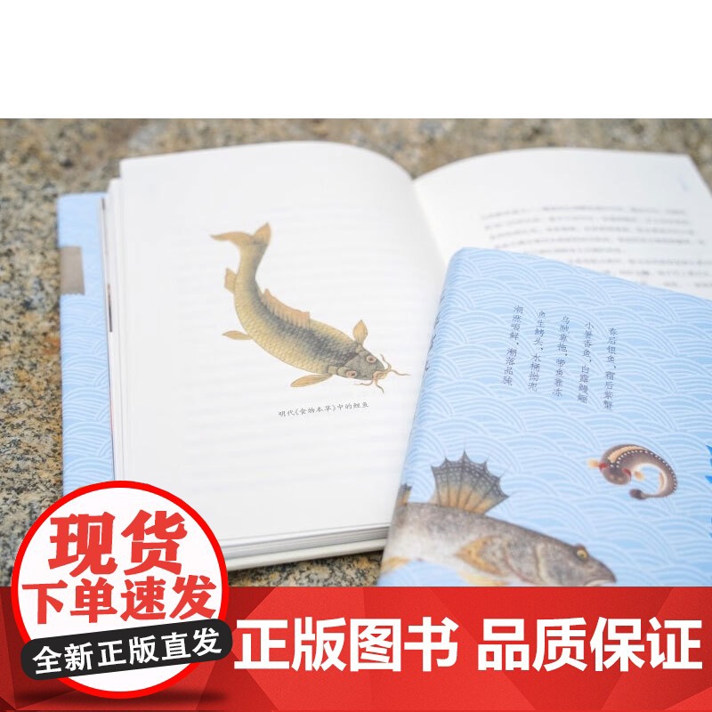 江海滋味 王寒 著 饮食文化高清大图