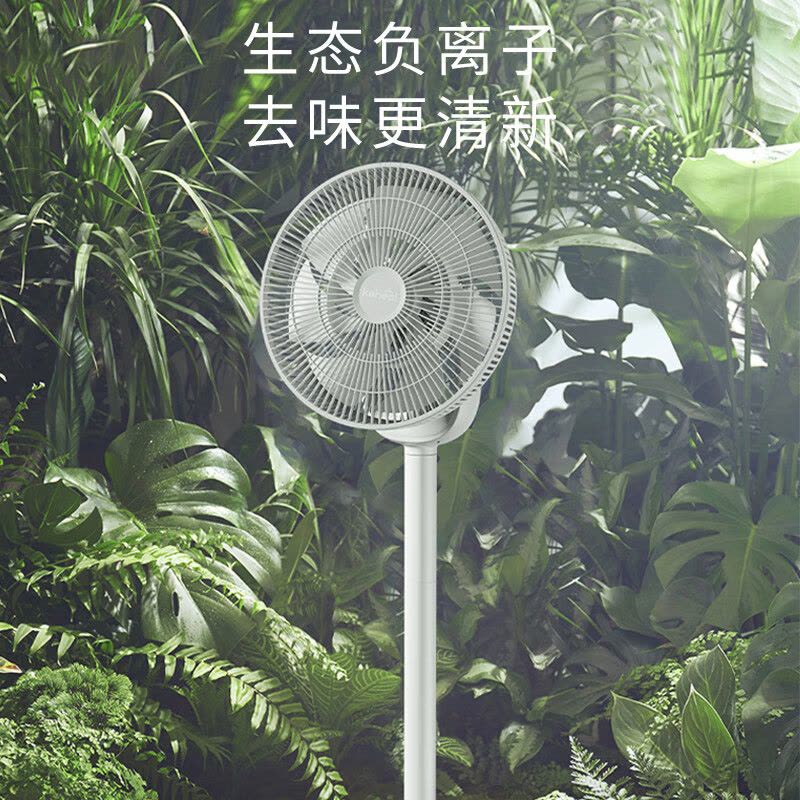 科西R6家用电风扇空气循环扇办公室落地(立式)桌面低音低噪直流变频遥控负离子图片