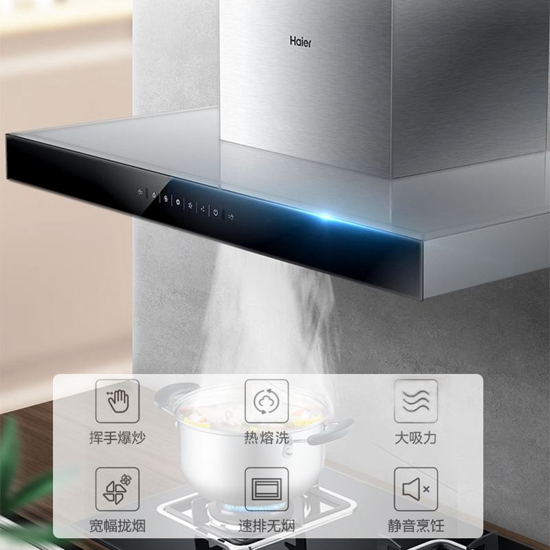 海尔(Haier)吸排油烟机CXW-219-ET905 欧式油烟机 20立方大吸力 热熔自清洁 挥手爆炒 海尔厨房电器
