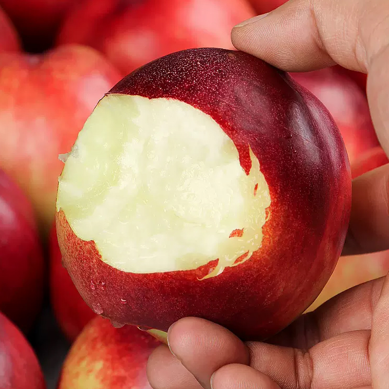 [苏鲜生]智利进口桃驳李 净重1斤 进口油桃 新鲜水果桃子 新鲜水果高清大图