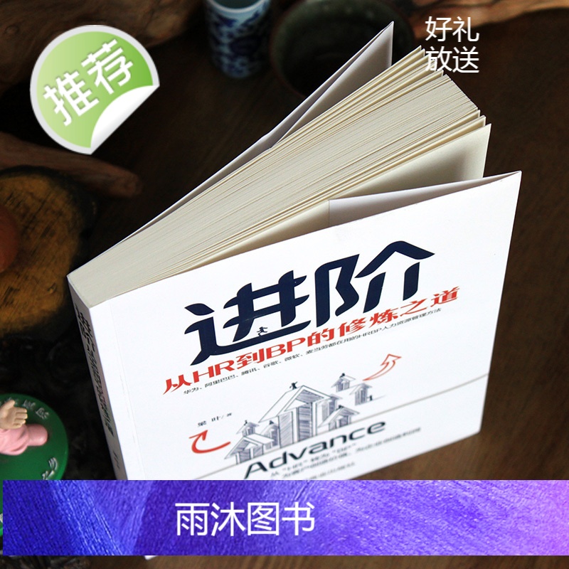 《进阶:从HR到BP的修炼之道》HRBP人力资源管理方法企业管理书籍 创业融资项目活动策划方案可行性研究 企业人力资源管高清大图