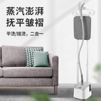 荣事达(Royalstar)RS-GT210大蒸汽双杆挂烫机家用高温杀菌挂烫机家用蒸汽电熨斗小型熨烫机衣服挂式熨斗