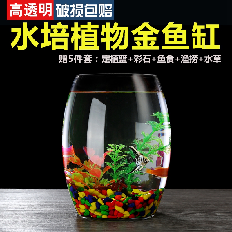鱼缸小型玻璃办公桌客厅桌面透明圆柱小鱼缸水培植物金鱼缸高清大图
