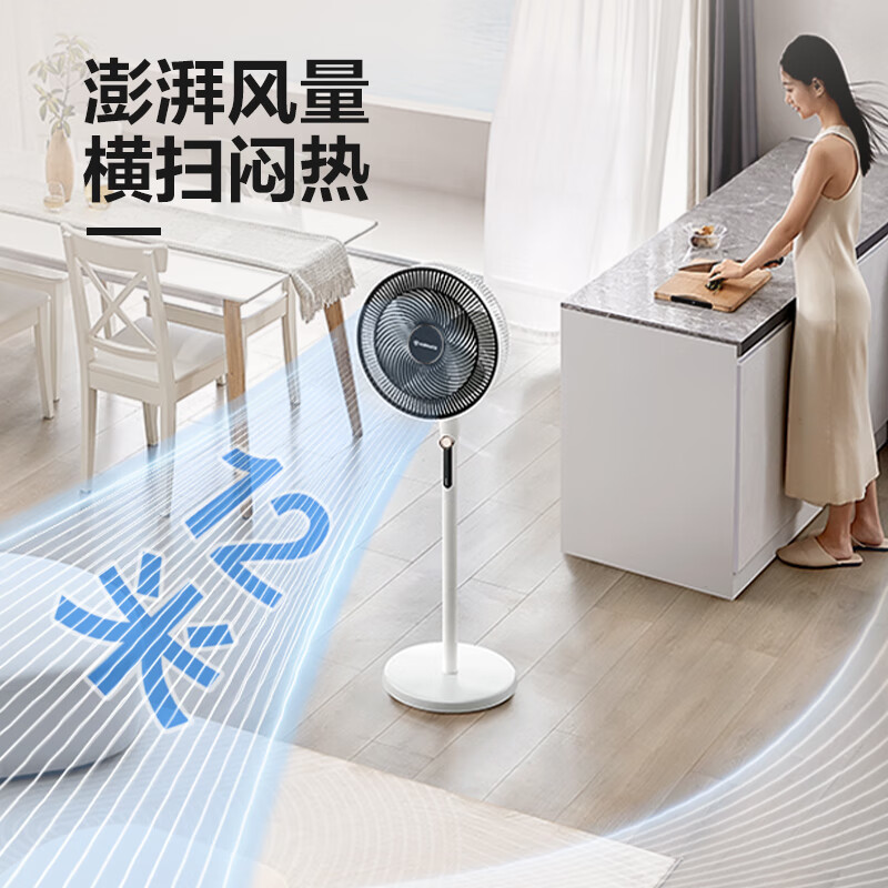 艾美特(AIRMATE)七叶大风量落地扇家用轻音节能电风扇 FS35-X76高清大图