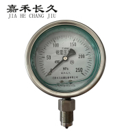 嘉禾长久/不锈钢耐震压力表/YN100BF 0*250MPA 可活动螺纹/块