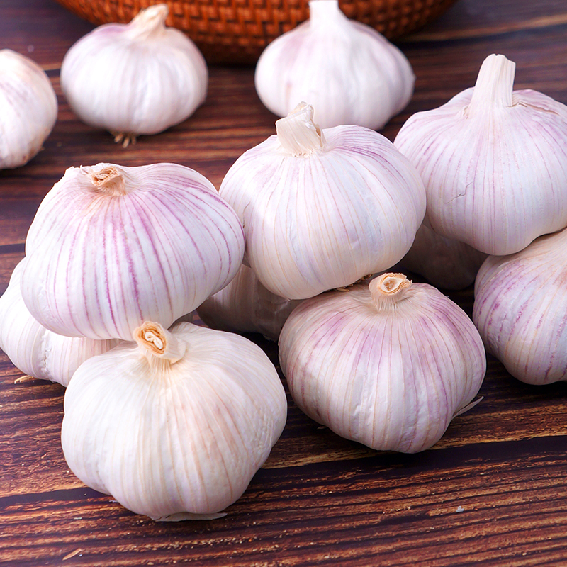 赛卡伊山东大蒜新鲜大蒜头5斤干蒜种籽当季蔬菜批发白皮紫皮独头蒜