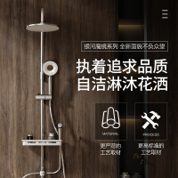 万和(Vanward)卫浴挂墙式淋浴花洒不锈钢淋浴杆精铜龙头增压沐浴器淋雨喷头