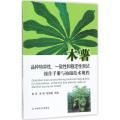 木薯品种特异性、一致性和稳定性测试操作手册与拍摄技术规程