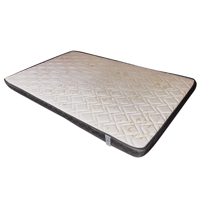 广亿隆宿舍公寓棕垫床垫高清大图