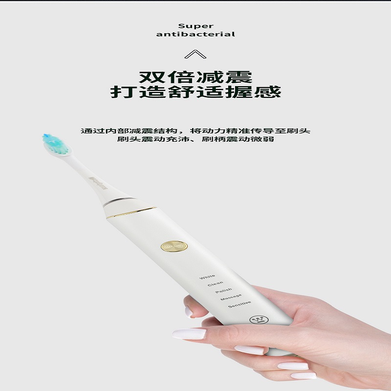 西屋(Westinghouse) 电动牙刷成人WT-503充电式情侣牙刷 软毛自动牙刷高清大图