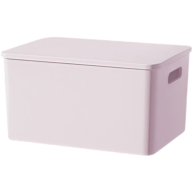 晨磊 收纳箱 28*21*14cm 个高清大图