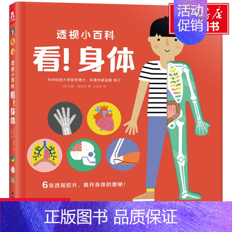 透视小百科 看!身体 [正版]文轩透视小百科看!身体儿童3d立体书科普书籍我们的身体3-6-8岁小学生启蒙认知阅读绘本1