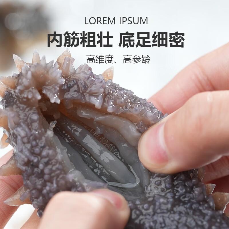 江鲜森国标鲜食海参1000g16-24只固形物大于80%底播刺参高清大图
