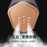 大宇(DAEWOO) 强力手持熨烫机 HI-029-BAI紫色