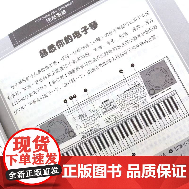 正版12小时学会电子琴2 进阶提高班中级 时老师简谱电子琴谱初学入门自学教程书 北京体育大学社 零基础教学流行歌曲大全曲高清大图