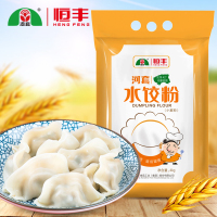 河套雪花水饺粉4kg 家用高筋粉饺子食用面粉 雪花面粉 饺子粉
