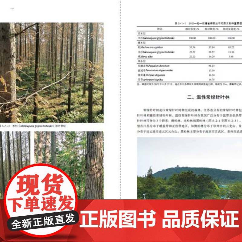 [店]江苏植被志 国家出版基金重点项目 东南缘人工植被结构与生态功能研究高清大图
