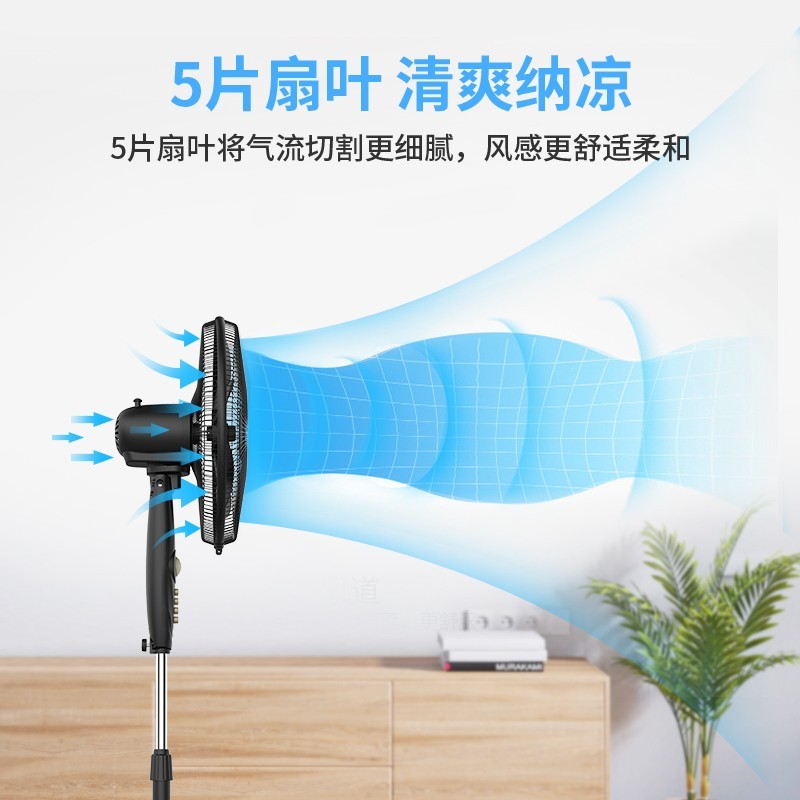 先锋 (singfun)电风扇宿舍风扇落地风扇家用定时五叶落地扇 FS40-21B高清大图