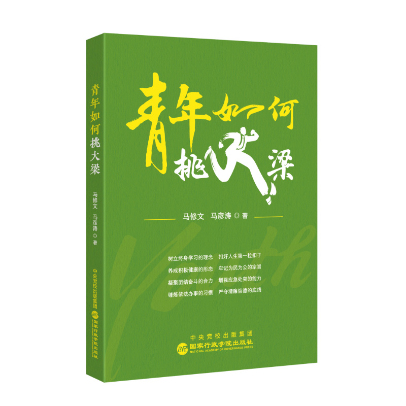 正版新书]青年如何挑大梁马修文 马彦涛 著9787515029511高清大图