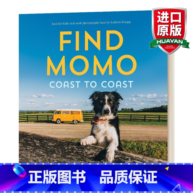 让我们找到莫莫2 【正版】英文原版 Silent Kingdom 沉默的王国 海底世界 黑白水下摄影作品集 海洋生物之美