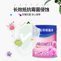 嘉宝莉乳胶漆室内涂料内墙漆白色家用自刷乳胶漆亮丽5合1墙面漆
