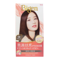 美源MEIYUAN 丝质护发染发霜 40g+60ml (Bigen专业染发剂） 5R柔褐红色