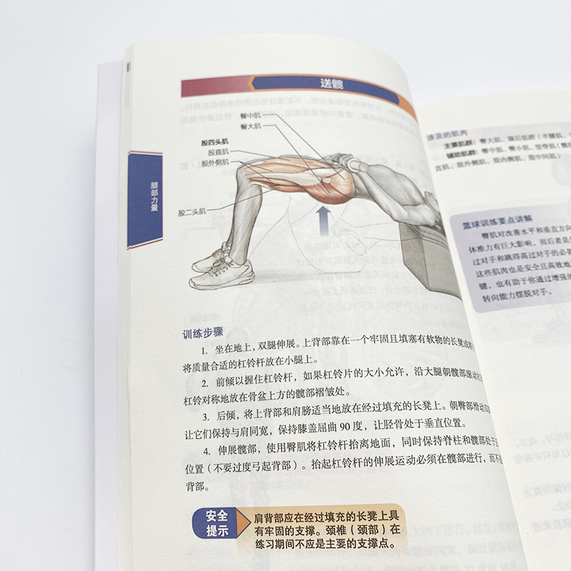 [正版]篮球运动系统训练全彩图解版 篮球训练书籍 篮球战术教学秘籍 青少年篮球训练指导手册德里克·罗斯书籍高清大图