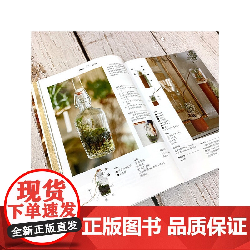 迷你植物园:玻璃瓶微景观制作与养护正版书籍高清大图