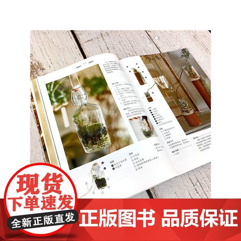 迷你植物园:玻璃瓶微景观制作与养护正版书籍图片