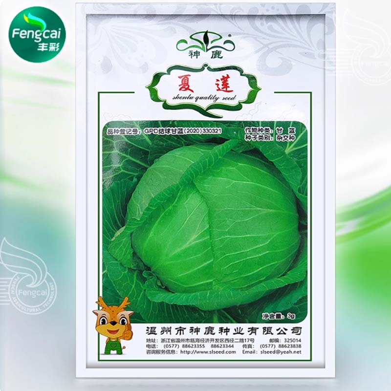莲白种子 10g/袋